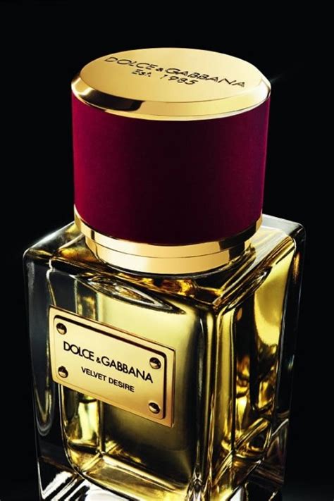 desire dolce gabbana prix maroc|dolce and gabbana velvet collection.